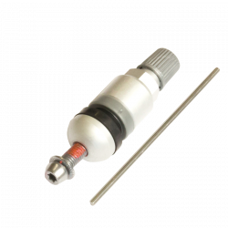 Replacement Valves for 65731