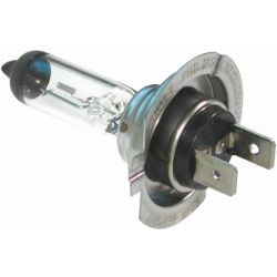 Tungsten Halogen Bulbs