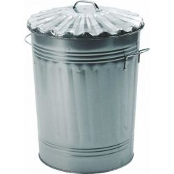 Dustbin & Lid